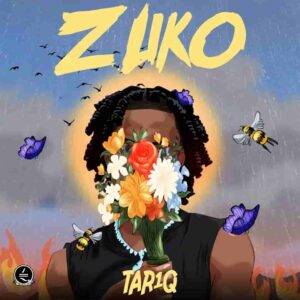 TAR1Q – Zuko Artwork