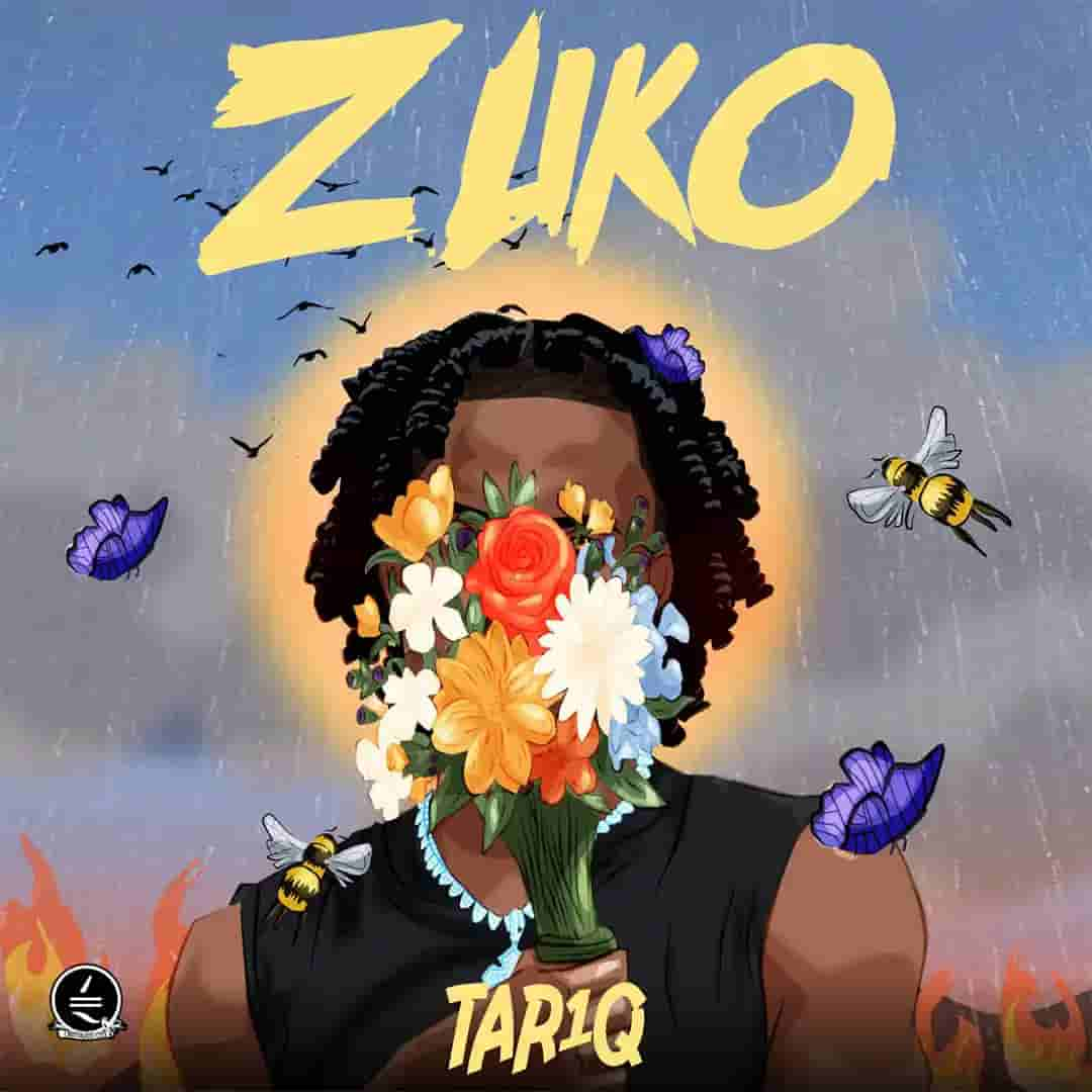 Zuko mp3 by TAR1Q