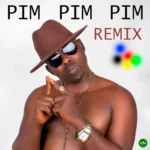 Pin Charger (Pim Pim Pim) mp3 by Unique Man