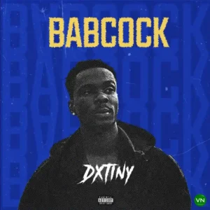 Dxtiny – Babcock Artwork