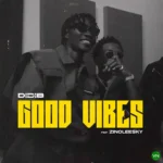 Good Vibes mp3 by Didi B feat. Zinoleesky