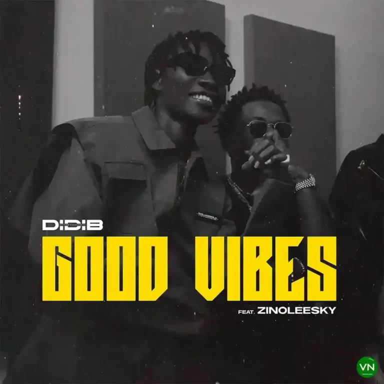Good Vibes mp3 by Didi B feat. Zinoleesky
