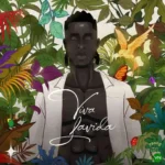 Viva Lavida (Album) mp3 by Joeboy