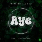 Aye mp3 by Professional Beat