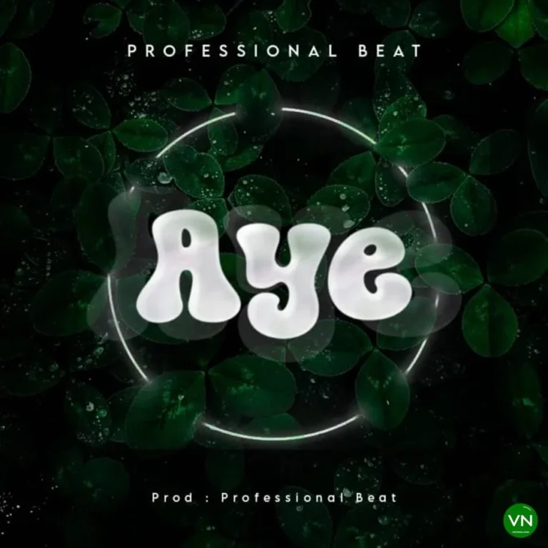 Aye mp3 by Professional Beat