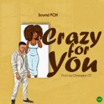 Crazy For You mp3 by Sound PCH