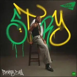 Fireboy DML & Take A Daytrip – Story Artwork