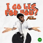 I Go Lie for You? mp3 by Fiokee
