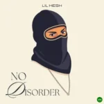 No Disorder mp3 by Lil Kesh