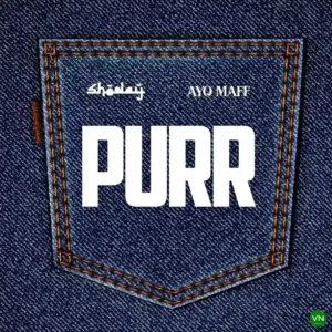 Shoday – Purr ft. Ayo Maff Artwork