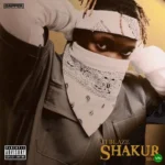 Shakur (Deluxe) EP mp3 by T.I BLAZE