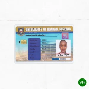 Dice Ailes – Towa Artwork