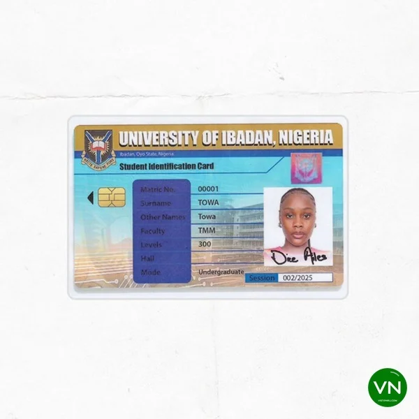 Towa mp3 by Dice Ailes