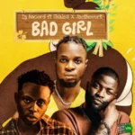 Bad Girl audio by Dj Hacord feat. Skales and Jaethevert