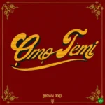 Omo Temi mp3 by Brown Joel