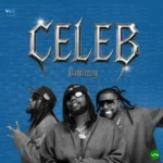 Celeb mp3 by DanDizzy