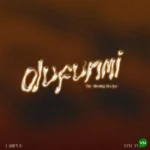 Olufunmi (The Missing Recipe) mp3 by LadiPoe feat. Styl-Plus