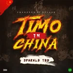 Timo In China mp3 by Sparkle Tee