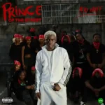 Prince of the Street (Album) mp3 by Ayo Maff