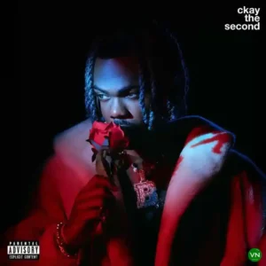 CKay – Nothing Spoil ft. Bella Shmurda Artwork