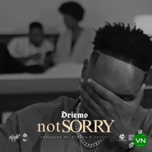 Driemo – Not Sorry Artwork