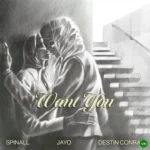 Want You mp3 by SPINALL feat. JayO and DESTIN CONRAD