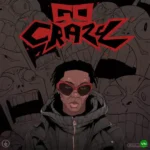 Go Crazy mp3 by Blaqbonez