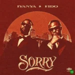 Sorry mp3 by Iyanya feat. Fido