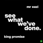 See What We’ve Done mp3 by King Promise feat. Mr Eazi