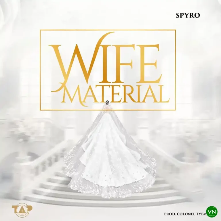 Wife Material mp3 by Spyro