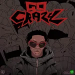 Go Crazy mp3 by Blaqbonez