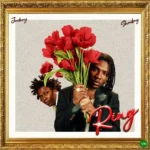 Ring mp3 by Joeboy feat. Shoday