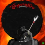 Temperature (E Dey Hot) mp3 by Omawumi