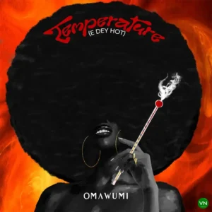 Omawumi – Temperature (E Dey Hot) Artwork