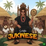 Jukwese mp3 by Solidstar