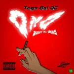 Omo (Burst My Head) mp3 by Tega boi dc