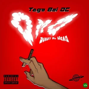 Tega boi dc – Omo (Burst My Head) Artwork