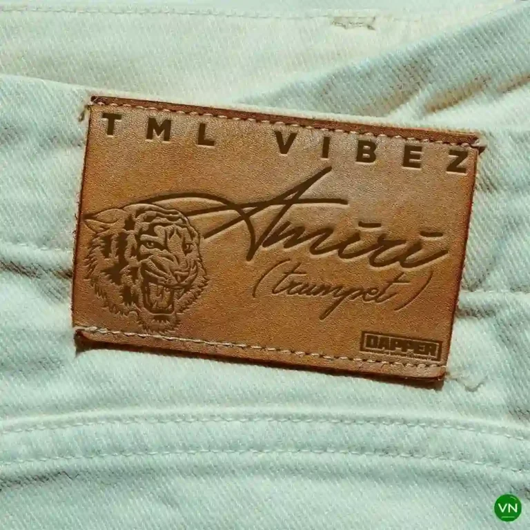 Amiri (Trumpet) mp3 by Tml Vibez