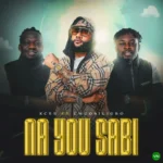 Na You Sabi mp3 by Kcee feat. Umu Obiligbo