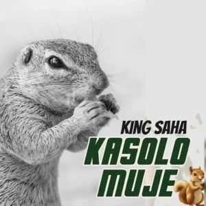 King Saha – Kasolo Muje Artwork