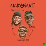 ENJOYMENT mp3 by Poco Lee feat. Mavo and Diamond Boy