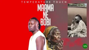 Temperature Touch – Mama Ne Bobi Artwork
