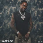 Auracle (Album) mp3 by Shallipopi