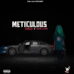 Meticulous mp3 by Chella feat. Young Clique
