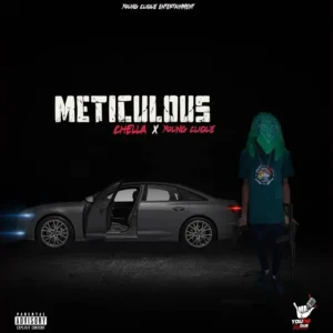 Chella – Meticulous ft. Young Clique Artwork