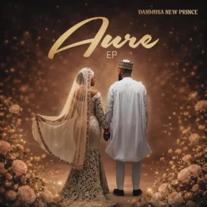 Danmusa New Prince – Aure Artwork