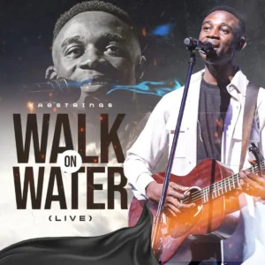 Kaestrings – Walk on Water (Live) Artwork