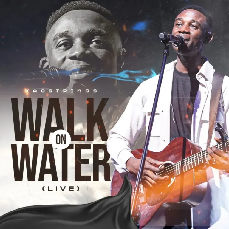 Walk on Water (Live) mp3 by Kaestrings