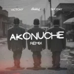 Akonuche (Remix) mp3 by Priesst feat. Victony and Shoday