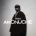Akonuche mp3 by Priesst